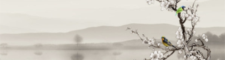 山东诗
