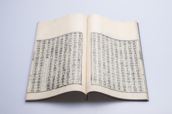 《大学古本旁释》一卷《大学古本问》一卷,王阳明,王守仁,阳明文化