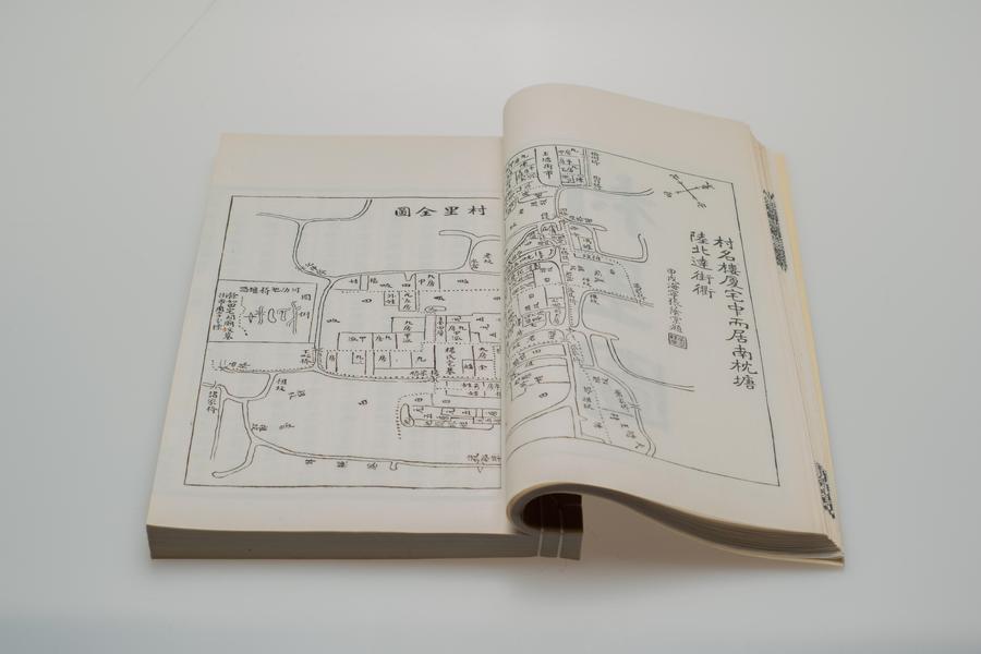 《余姚上塘王氏宗谱》十四卷《首》一卷《末》一卷 第一册 重要内容六 村里全图 (一),王阳明,王守仁,阳明文化