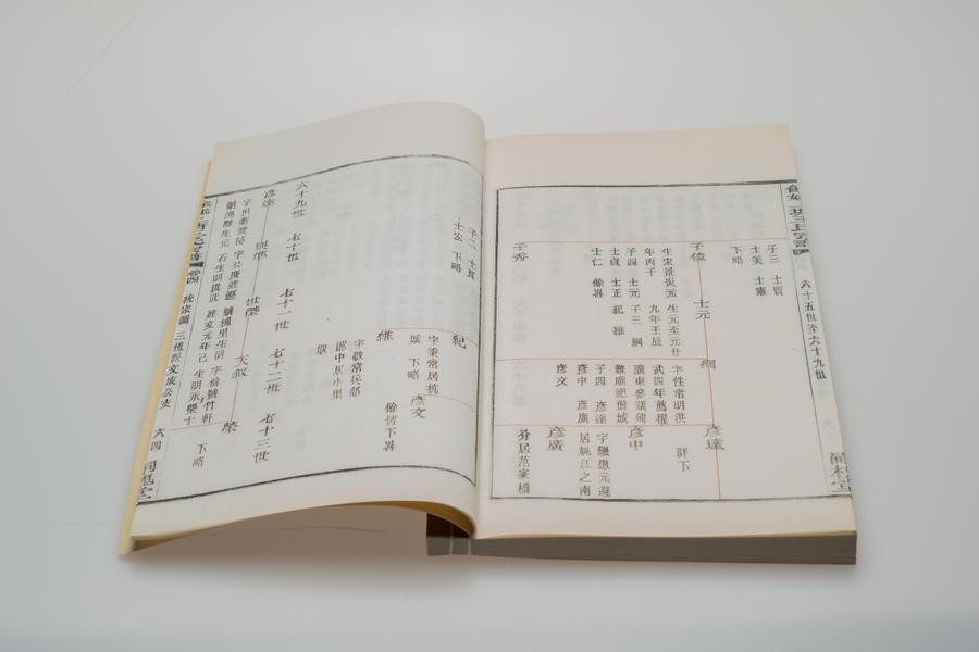 《余姚上塘王氏宗谱》十四卷《首》一卷《末》一卷 第一册 重要内容十三 卷四 三槐派文成公本支 (一),王阳明,王守仁,阳明文化