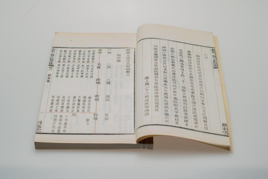 《余姚上塘王氏宗谱》十四卷《首》一卷《末》一卷 第一册 重要内容十一 卷三 渊源图 (一),王阳明,王守仁,阳明文化