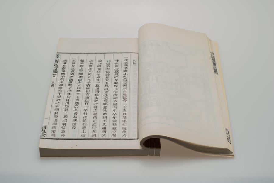 《余姚上塘王氏宗谱》十四卷《首》一卷《末》一卷 第一册 重要内容七 卷首 凡例 (一),王阳明,王守仁,阳明文化