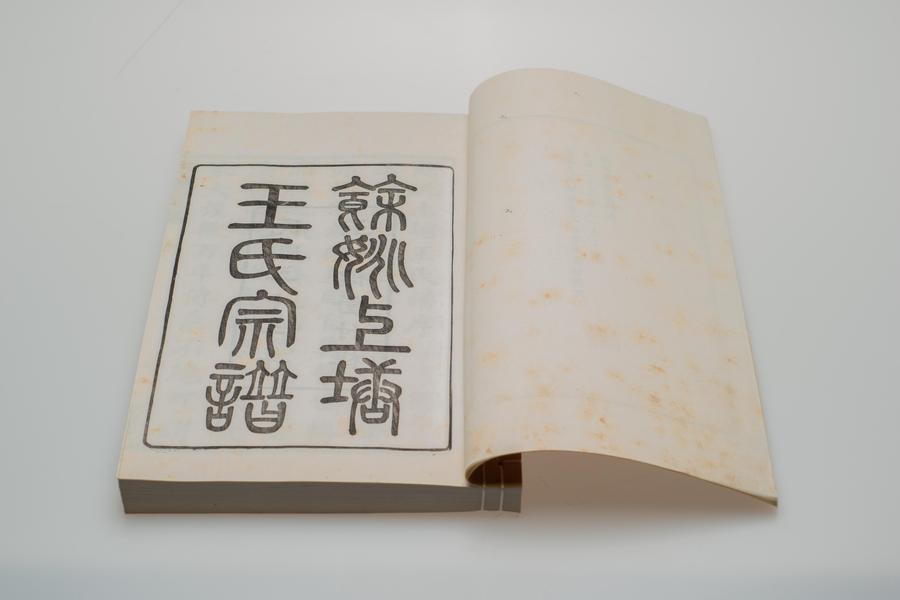 《余姚上塘王氏宗谱》十四卷《首》一卷《末》一卷 书名 (一),王阳明,王守仁,阳明文化