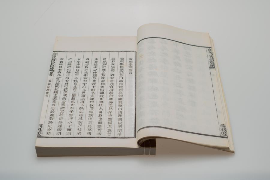 《余姚上塘王氏宗谱》十四卷《首》一卷《末》一卷 第一册 叙言 (一),王阳明,王守仁,阳明文化