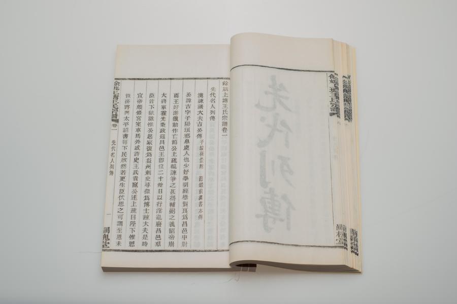 《余姚上塘王氏宗谱》十四卷《首》一卷《末》一卷 第一册 重要内容九 卷一 先代名人列传 (二),王阳明,王守仁,阳明文化