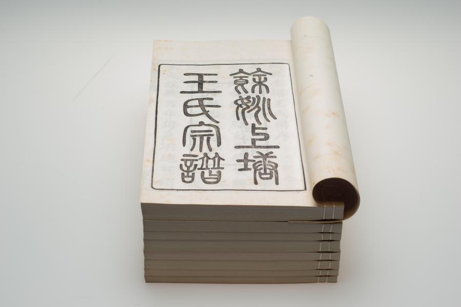 《余姚上塘王氏宗谱》十四卷《首》一卷《末》一卷 全景图 (九),王阳明,王守仁,阳明文化