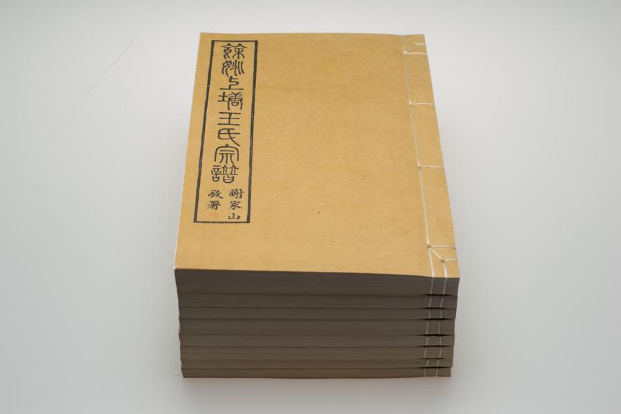 《余姚上塘王氏宗谱》十四卷《首》一卷《末》一卷 全景图 (六),王阳明,王守仁,阳明文化