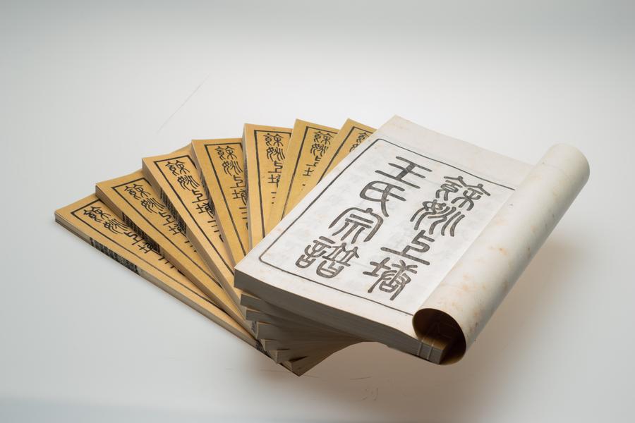 《余姚上塘王氏宗谱》十四卷《首》一卷《末》一卷 全景图 (十),王阳明,王守仁,阳明文化