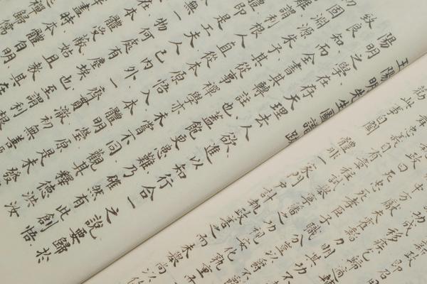 《王阳明先生图谱》一卷,王阳明,王守仁,阳明文化