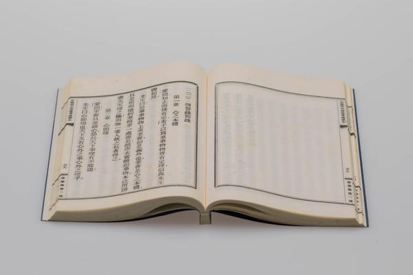 《王阳明年谱节本》一卷《传习录节本》一卷,王阳明,王守仁,阳明文化