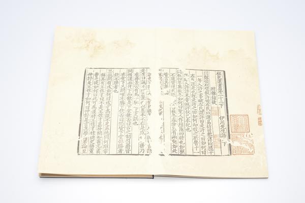 《程氏遗书》二十五卷《附录》一卷,王阳明,王守仁,阳明文化