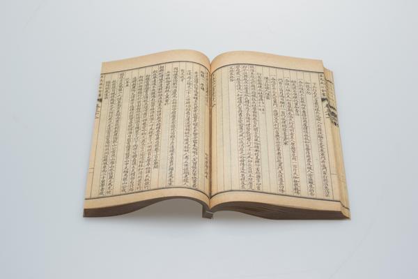 《王文成公全书》三十八卷,王阳明,王守仁,阳明文化