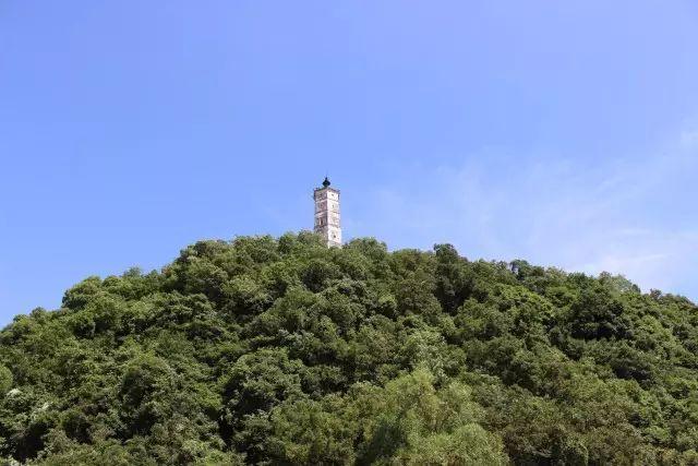 余杭塔山,王阳明,王守仁,阳明文化
