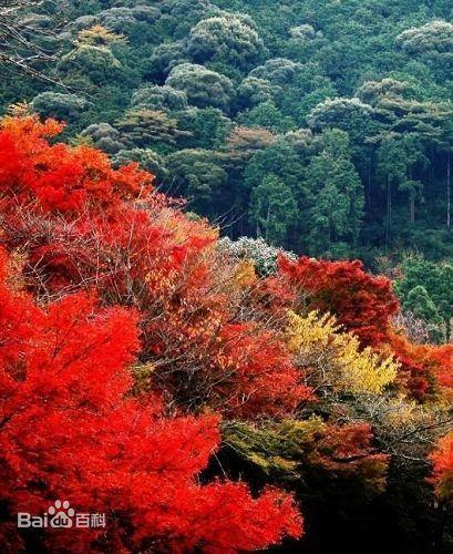 香山,王阳明,王守仁,阳明文化
