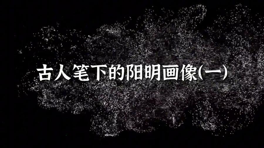 古人笔下的阳明画像（一）,王阳明,王守仁,阳明文化