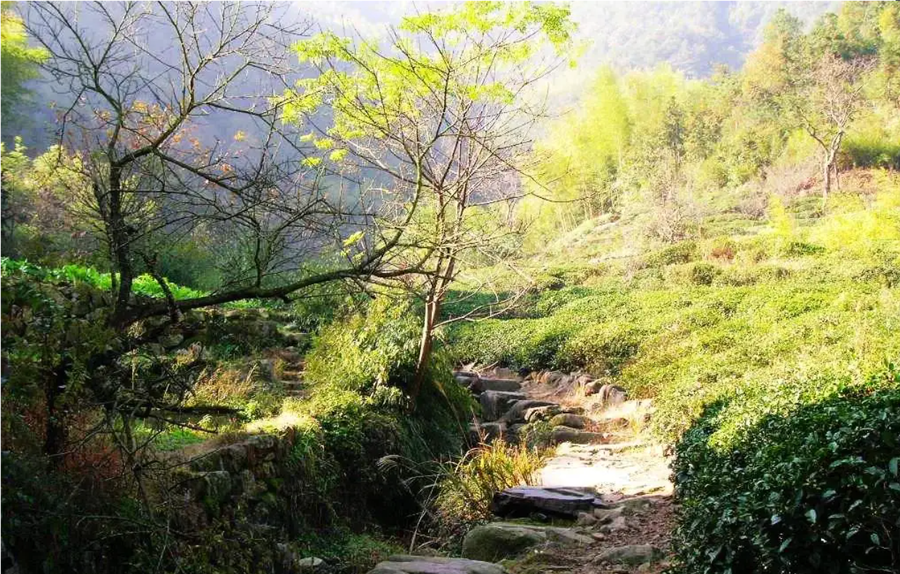 秦望山,王阳明,王守仁,阳明文化